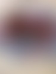 0d0972c2 2d17 45d1 8dee c5f817a2c79b