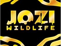 Jozi