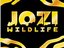 Jozi