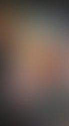 Ron e smith ning art