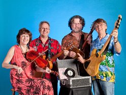 AUSTIN LOUNGE LIZARDS