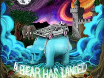 A Bear with a Car on Top