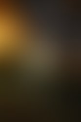 1327118558 453987605809 242180885809 6078883 5105166 n