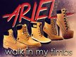 Ariel Tirant Ent.