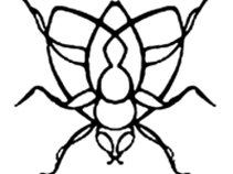 High Flies
