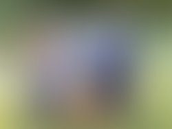 Thedirtyguvs 13 2 1276095736