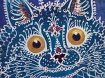 Blue Cat Cinema