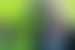 1380182713 shawna lynne ccma picture