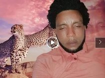 solo redigo