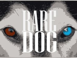 Image for Rare Dog