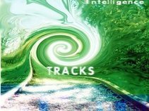 Contaminated Intelligence