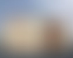 Images 48 