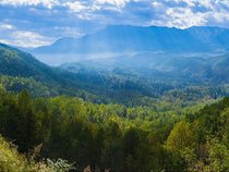 Shinin' Stars Mystery Band