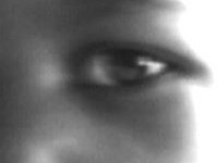 sHAME ON YA PRODUCTIONS