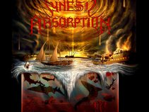 Synesis Absorption