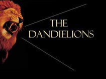 The Dandielions