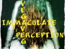 VegaVeg