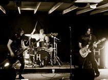Habitat Noise