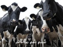 Catatonic Chaos Cowboys