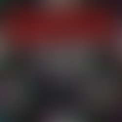 Img1705115906615 copy 512x512