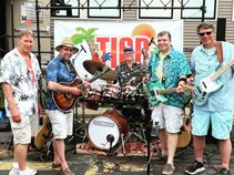 The Island Castaways Band