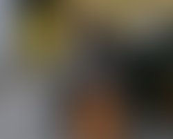 1304963733 jamie sue seal   levi by matthew dae smith