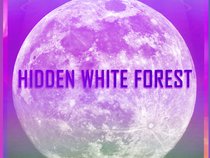 Hidden White Forest