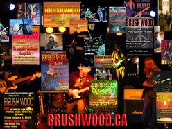 Image for "BRUSH WOOD"