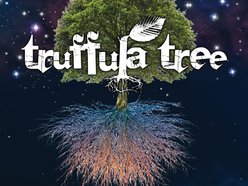 Image for Truffula Tree