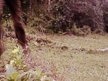 Falling In June