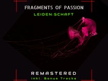 Fragments of Passion