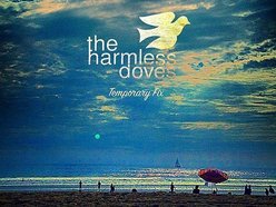 harmlessdoves