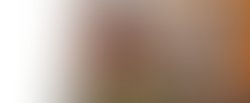The seed of destiny banner