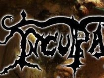 Inculpatory
