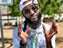 Steve Da M.L.B
