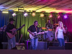 Image for The Country Music Project