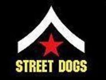 Street Dogs