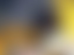 9244782f c50d 4850 af17 f08150660faf 1566 0000034484f30ccf