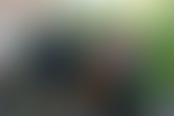 0088a09b 028f 43c8 a164 0792a72c10e8