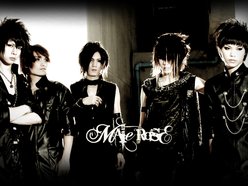 Image for MaleRose