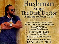Bushman