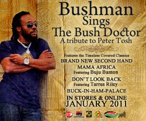 洋楽 Skatta / Bushman - I Wanna Be Your Man Skatta - I Wanna Be Your Man | NEWTONE RECORDS
