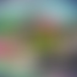 8119df1847ba5fa25a779a2ae696f7cadceb472e