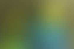 1366058053 ted tang 1277821166