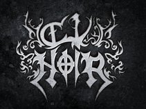 CV Noir