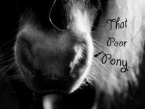 That Poor Pony