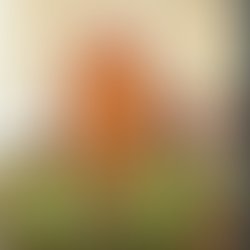 Img 20180704 193947 978