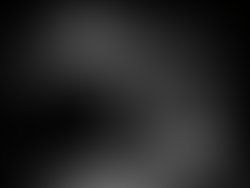 2807848c 28de 4e29 bc13 da9f520bd2cf