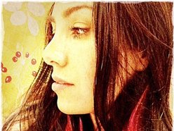 Image for Shannon Nicole