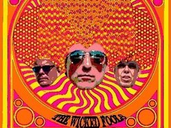Image for THE WICKED FOOLS